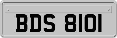 BDS8101