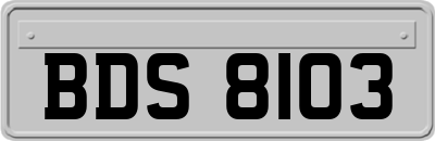 BDS8103