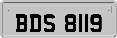BDS8119