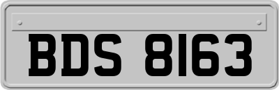 BDS8163