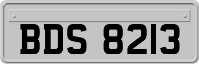 BDS8213