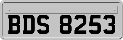 BDS8253