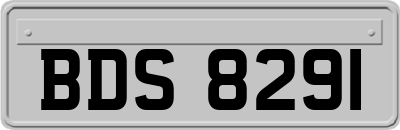 BDS8291