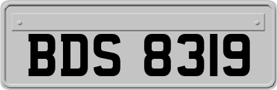 BDS8319