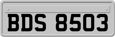 BDS8503
