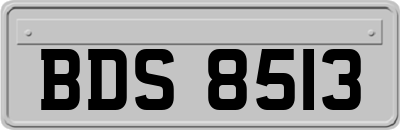 BDS8513