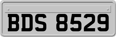 BDS8529