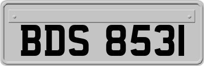 BDS8531