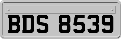 BDS8539