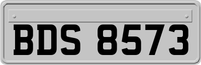 BDS8573
