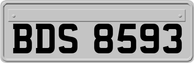 BDS8593