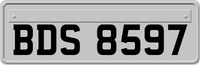BDS8597