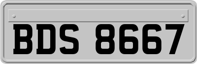 BDS8667