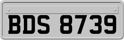 BDS8739