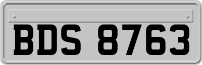 BDS8763