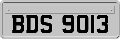 BDS9013