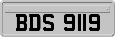 BDS9119
