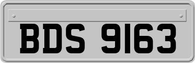 BDS9163