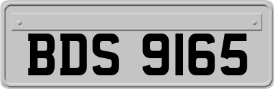 BDS9165