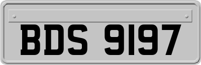 BDS9197