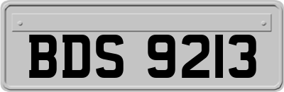 BDS9213