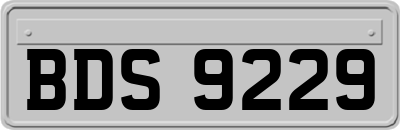 BDS9229