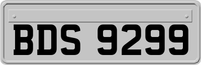 BDS9299