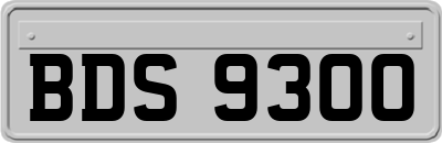 BDS9300