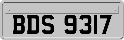 BDS9317