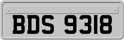 BDS9318