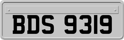 BDS9319