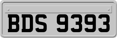 BDS9393