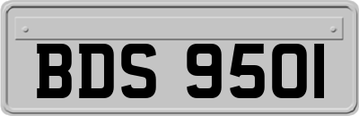 BDS9501