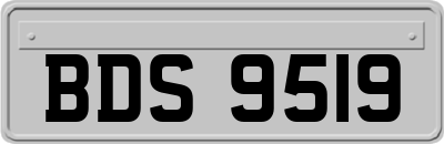 BDS9519