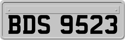 BDS9523