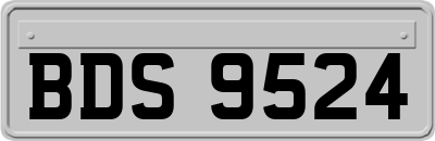 BDS9524