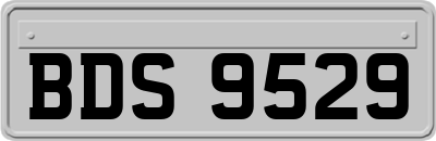 BDS9529