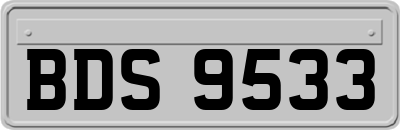 BDS9533