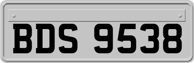 BDS9538