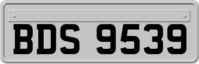 BDS9539
