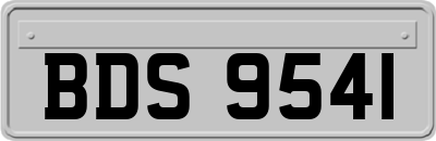 BDS9541