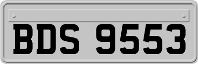 BDS9553
