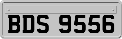 BDS9556