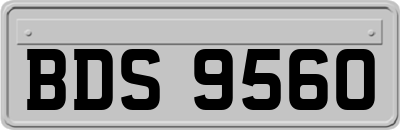 BDS9560