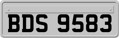 BDS9583