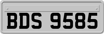 BDS9585