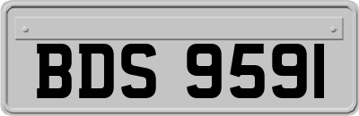 BDS9591