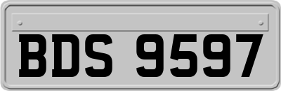 BDS9597
