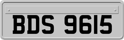 BDS9615