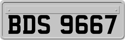 BDS9667